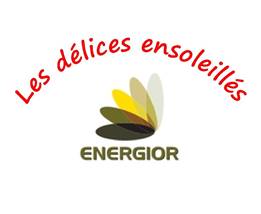 LOGO DELICES ENSOLELLES ET ENERGIOR